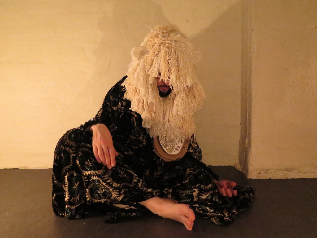 papaer heart lion boy